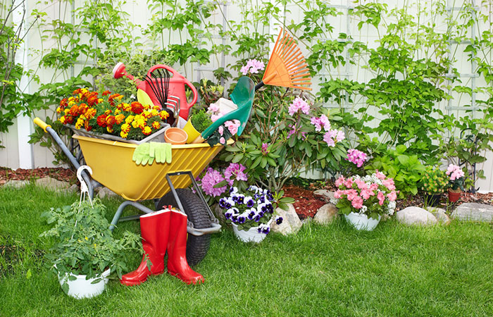 Agricoltura e giardinaggio