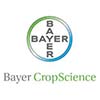 Bayer