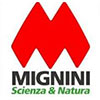 Mignini